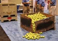 Hoe laat je zien dat je kunststof kratten beter zijn?