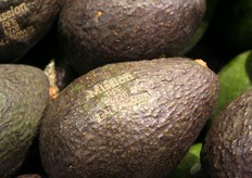 Logo ingegraveerd in avocado