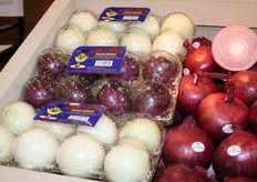 witte en rode uien exclusief verpakt