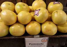 Reuze pomelos a 3,99 per stuk