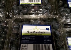 Argentijnse blauwe bessen