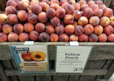 Chileense perziken 3,99 per pound