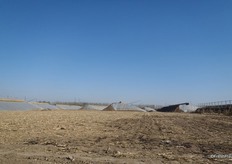 Alleen al in dit gebied zijn 560 structuren.