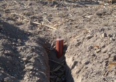 Elke kas heeft een eigen irrigatiesysteem.