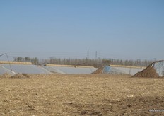 De kenmerkende solar-kassen