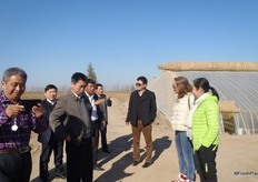 De tomaten uit deze kassen gaan naar high-end supermarkten in Beijing