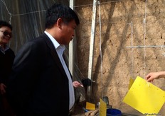 Sticky Traps! De telers gebruiken geen chemische gewasbescherming, omdat de producten naar high-end supermarkten gaan.