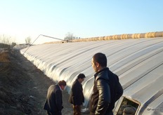 De kassen zijn misschien klein, maar in dit gebied alleen al staan er duizend.