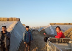 De dorpsbewoners werken in de kassen