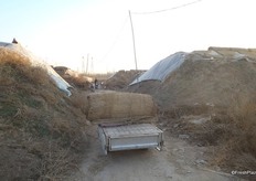 Chinese tuinbouwtoelevering: nieuwe matten voor op het dak