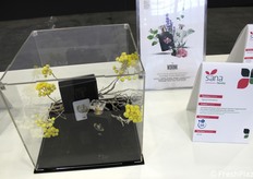 Een van de innovaties op Sana Food was WDRINK, een merk van Sigroup International voor een botanische lijn van alcoholvrije distillaten. Het betreft 100% natuurlijk aromatisch water, verkregen door stoomdestillatie van de eetbare delen van de plant, zonder toevoeging van aroma's, conserveringsmiddelen, suiker of alcohol.