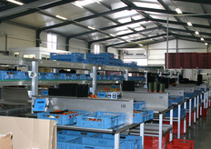 Leo Verkade begon een goed half jaar geleden met het telen van tomaten in het Noord-Brabantse Steenbergen. Kwekerij De Witte Ruiter teelt specialty's en daar hoort kleinverpakken bij. Daarom besloot Leo Verkade vrijwel tegelijkertijd met kwekerij De Witte Ruiter ook een verpakkingsbedrijf op te richten. FlavourPack is het resultaat.