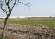 Op afstand het kassencomplex van Royal Pride.