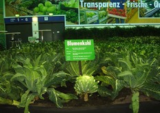 Op dit moment vindt in Berlijn de Internationale Grüne Woche plaats. Opmerkelijk is de aanwezigheid van Lidl op de Internationale Grüne Woche. De discounter grijpt de beurs echtet aan om zijn imago als leverancier van veilige groenten en fruit te verbeteren. In het najaar van 2005 scoorde Lidl namelijk slecht in een onderzoek van Greenpeace naar de aanwezigheid van residuen in groenten en fruit. Theo Kampschoer van de in Frankrijk gevestigde agf-exporteur Kampexport bezocht de Internationale Grüne Woche en maakte daar deze foto's. Kijk voor meer informatie over de Internationale Grüne Woche in Berlijn op de website www.gruenewoche.de.