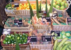 Exoten met Oloe Vera bladeren ertussen