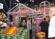 Opmerkelijk is dat kasgroententelers zich duidelijk profileren. Stand in vorm van kas