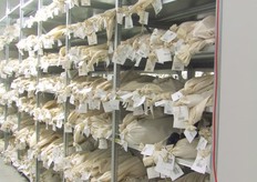 De handelsvoorraad zaden.