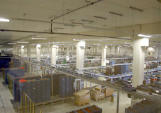 Overzicht op de strak naast elkaar geplaatste sorteer- en verpakkingslijnen