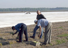 Walter begeleidt een aantal van zijn seizoensarbeiders uit Oost-Europa om de asperges zo goed mogelijk te steken.