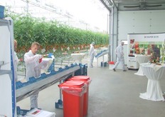 De rassen stonden keurig in kratjes opgesteld over.