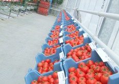 Alle rassen zijn net weer een beetje anders.