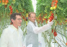 Franky van Looveren en Jacques van Weerdenburg inspecteren de tomatenrassen.