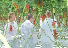 De telers kijken naar de nieuwe rassen.