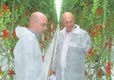 Ook Concept & Innovations Manager en Purchase Manager Johan de Witte van Alexport (links) liet zich informeren over de nieuwe tomatenrassen tijdens de Open Dag. Hier in gesprek met Harry Duijnisveld van De Ruiter Seeds.