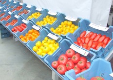 De tomatenvariëteiten stonden mooi opgesteld.