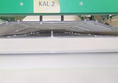 De zaden worden gecalibreerd