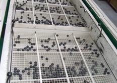 Een zeefraam voor de calibreermachine