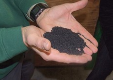 Gecallibreerd uienzaad