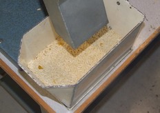 Uitgesorteerd komkommerzaad