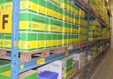 Voorverpakte zaden om klanten binnen 24 uur van zaad te voorzien