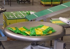 De verpakkingslijn, de zakken-