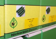 Komkommerzaad klaar voor verzending