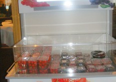 verkoopdisplay van de Greenery voor detaillist en huisverkopers