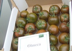 De Kumato is eigendom van Syngenta. Deze bruine tomaat (ik mocht'm proeven en hij is heerlijk) wordt inmiddels in VK, Belgie en Nederland geteeld