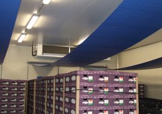 Weber zorgde voor de koelcellen