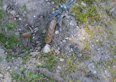 En ook de ankers zijn van een ander formaat dan bij de meer gebruikelijke constructies