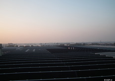 prachtige zonsondergang met vergezicht vanaf het parkeerdek van FloraHolland