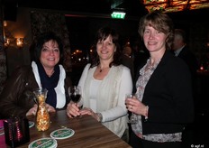 Maya Elbers van Elbers Consultancy, Annet Grootscholten van A-Netwerk en Annemarie van Ruyven van ABC Westland