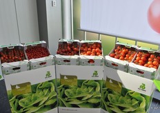 De biologische-rassen: Rijk Zwaan Organic