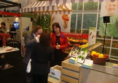 Tweede Kamerleden worden geinformeerd