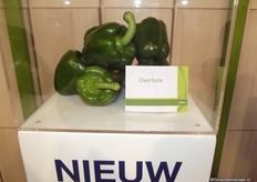 "De nieuwe groene paprika van Syngenta heet Overture. "Deze paprika is vooral geschikt om mee te roerbakken; behoudt zijn smaak (in tegenstelling tot de geroerbakte gele en rode paprika)," aldus Peter Colbers van Syngenta."