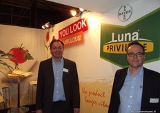 Marco van der Lans en Bertill van de Wiel van Bayer blikken terug op de introductie van Luna. In de tomaten is dit een geschikt middel om de strijd aan te gaan met Botrytis en echte meeldauw. Dit systemische middel dient in het beginstadium al te worden toegediend: voordat het eerste blad geplukt wordt.