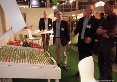 Nog meer buren: De Ruiter heeft de jonge planten meegenomen. Deze week meer over de trends van dit jaar in tomaat.