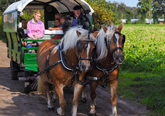 Dankzij het goede weer werden er heel wat ritjes gemaakt met de huifkar.