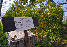 Bio-dynamische teler Peet de Krom gaf rondleidingen over zijn bedrijf, hij teelt diverse tuinbouwgewassen in de volle grond en onder glas.