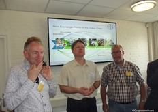 Proef de Intense-tomaat